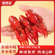 信良記25年新蝦麻辣小龍蝦蒜香/青花椒大號6-8錢(qián)/只600g/盒生鮮加熱即食 600g 大號麻辣味2盒+蒜香味1盒