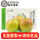 諸氏橙品 正宗玉露香梨 山西隰縣特產(chǎn)梨子 酥脆甜蜜 當季水果整箱中秋禮盒 精選8斤特大果禮盒【9個(gè)裝】