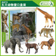 COLLECTA英國CollectA我你他野生動(dòng)物模型獅子老虎84108五只動(dòng)物超值裝 非洲象禮盒裝84213
