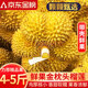 千朵云泰國金枕榴蓮新鮮水果進口巴掌榴蓮一整個帶殼當季孕婦兒童水果 7-8斤【土豪專享吃更得勁】1-2個