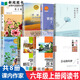 自選書(shū)】六年級上冊課內作家必讀課外書(shū)經(jīng)典書(shū)童年小英雄雨來(lái)愛(ài)的教育會(huì )走路的夢(mèng)鐵凝 花之歌 草原·北京的春節 故鄉 紫藤蘿瀑布丁香結漢字樹(shù)活在字里的中國人 全8冊六年級課內花之歌細雨下點(diǎn)碎落花聲會(huì )走路的夢(mèng)