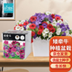 IAM City Farmer矮牽牛DIY植物種植趣味盆栽進口種子開花不斷學生科學觀察10094