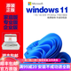 win11系統(tǒng)正版專業(yè)版windows11重裝系統(tǒng)u盤專業(yè)版激活碼升專業(yè)版 win11專業(yè)版 U盤+密鑰