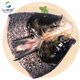 仙泉湖花鰱魚(yú)頭 600g/個(gè)冷凍雙邊大胖頭鳙魚(yú) 海鮮水產(chǎn)食材