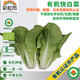 彩虹雨北京農(nóng)場(chǎng) 有機(jī)快白菜250g  歐盟認(rèn)證有機(jī)蔬菜生鮮自有農(nóng)場(chǎng)新鮮直