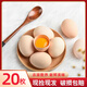 芮瑞 農(nóng)家正宗土雞蛋山林散養(yǎng)草雞蛋 現(xiàn)發(fā)柴雞蛋 40±5g/枚 20枚