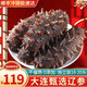 鮮拔頭籌 即食海參 大連刺參單個(gè)裝 深海遼刺參海參禮盒春節(jié)送禮鮮食海參 9年7A海參500g【16-20頭】