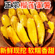 正宗云南高山榴蓮蜜薯5斤當(dāng)季鳴桂蜜薯香甜鳴門金時榴蓮地瓜L3 5斤【甄選品質(zhì)】