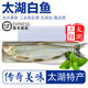 太湖?！咎卮蟀佐~】太湖三白翹嘴白條大白刁 鮮活三去淡水魚類江蘇特產(chǎn) 冷凍-偏咸） 500g*2條
