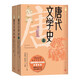 唐代文學(xué)史 中國古典文學(xué)研究 中國文學(xué)通史系列 人民文學(xué)出版社