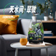 丘辰苔蘚微景觀養(yǎng)魚生態(tài)瓶diy辦公室內(nèi)桌面綠植擺件花卉盆栽生日禮物 翠微松（實木底座）
