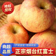 澤華果品山東煙臺棲霞紅富士蘋(píng)果冰糖心脆甜新鮮水果整箱源頭直發(fā)包郵 煙臺紅富士蘋(píng)果凈重8斤單果80mm+大果 源頭直發(fā)