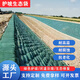 生態(tài)袋護坡袋草籽植生袋河道高速邊坡防護滌綸長(cháng)絲土工布袋護坡袋 40*60