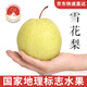 京覓河北趙縣特產(chǎn)趙州雪花梨單果300g起8斤裝冰糖雪梨源頭直發(fā)