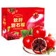 鮮美驚四川會(huì )理突尼斯軟籽石榴當季新鮮紅寶石甜石榴孕婦水果禮盒送禮 甄選果-9斤中果（單果5-6兩）