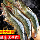 朵芙 青島大蝦  凈重3斤 蝦 超大速凍海蝦基圍蝦 鮮蝦 大蝦白蝦對蝦 14-16（家庭實(shí)惠裝） 3斤(凈重)  盒裝