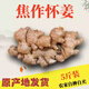 焦作懷姜新鮮姜生姜山王莊老姜土姜小黃姜懷姜糖膏原料 山王莊懷姜5斤