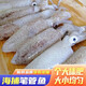 新鮮野生筆管魚(yú)海兔鮮活海兔燈光小魷魚(yú)一口魷魚(yú)生鮮冷凍火鍋海鮮 1000g(凈重)  筆管魚(yú)2斤
