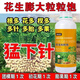 芽動(dòng)力花生粒粒飽滿(mǎn)專(zhuān)用葉面肥膨壯花生專(zhuān)用?；ū９嘞箩樑虼笤霎a(chǎn)增收 花生膨大粒粒飽500克*1瓶