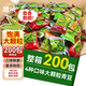 勝嶼青豆青豌豆小零食獨(dú)立包裝豆休閑小吃堅(jiān)果炒貨辦公室零食200包1kg