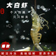 新食道新疆白蝦新鮮捕撈急速冷凍特大白蝦新疆養殖海鮮水產(chǎn) 端午送禮佳 （40/50）3斤/新疆大蝦 0g(凈重)