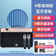 聲優(yōu) SY Q9S Q10藍(lán)牙音箱戶外手提便攜式帶無線話筒 樂器演奏K歌廣場舞音 聲優(yōu)Q9S升級版【雙無線話筒】