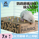 寵尚天 磨爪棒磨牙棒磨砂鸚鵡玩具啃咬鳥用品秋千鳥籠配件站架站桿站棍 鸚鵡千層紙板 小號