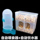 鴿子食槽自動(dòng)喂食器防撒食盒雞食槽賽鴿信鴿食槽鳥(niǎo)用食槽防撒食盒 掛鉤)2孔食盒+800多用