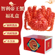 湘明有絮 帝王蟹禮盒鮮活熟凍帝王蟹螃蟹海產(chǎn)海鮮年貨禮盒大禮包 帝王蟹3.2-2.8斤