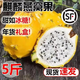 【順豐】燕窩果5斤新鮮罕見(jiàn)稀有海南特產(chǎn)麒麟黃金火龍果孕婦水果 1斤