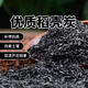 綠園匠稻殼炭1kg草木灰盆栽多肉月季鉀肥生物炭肥料谷殼碳營(yíng)養土顆粒