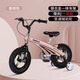 鳳凰（Phoenix）鎂合金自行車(chē)兒童寶寶單車(chē)小孩腳踏車(chē)歲童車(chē)男孩女孩 兒童自行車(chē) 太空 （香檳金）一體輪普通輔助輪 14寸適合95-115cm