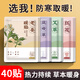 臻宛艾【40片裝】暖寶寶貼暖貼肩頸膝腿貼女生暖身保暖貼 生姜10+益母草 10+艾草10+紅花10