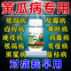 植翠黃瓜專用藥黃瓜黃點(diǎn)灰霉霜霉靶斑黃葉病害清枯萎卷葉微生物菌劑 三瓶裝【下單送噴壺】