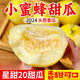 云南脆甜小蜜蜂甜瓜 5-6斤 5-6斤