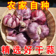 【新店開張】2025新鮮山東大蒜9斤5斤整箱批發(fā)蒜大蒜頭優(yōu)質(zhì) 4500g 【新店開張】大果