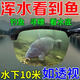 偏光釣魚(yú)眼鏡看漂專(zhuān)用專(zhuān)業(yè)射魚(yú)可見(jiàn)水下底三米偏光鏡路亞開(kāi)車(chē)墨鏡 日夜兩用釣魚(yú)眼鏡