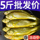 5斤小黃花魚(yú)海魚(yú)去頭小黃魚(yú)新鮮鮮活冷凍整箱香酥魚(yú) 10條/斤s5斤裝
