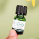 美體小鋪（The Body Shop）英國THE BODY SHOP/美體小鋪茶樹(shù)精油痘痘粉刺面部精華痘印 10ml