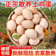 荊品名門農(nóng)家散養(yǎng)新鮮雞蛋初生蛋谷物蛋純農(nóng)村笨雞蛋自養(yǎng)草雞蛋 30枚（約1200克）