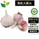有機大蒜【新大蒜】蒜頭有機認證無農(nóng)殘激素化肥 調(diào)味蔬菜食材匯 1000g