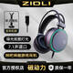 磁動(dòng)力（ZIDLI） 絕地求生吃雞游戲耳機頭戴式耳麥臺式機電腦筆記本降噪吃雞絕地求生耳機 有線(xiàn)電競網(wǎng)吧帶麥克風(fēng) ZH8黑色綠光耳機 【7.1聲道USB接口】