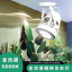 JJTOOP全光譜軌道植物專用補(bǔ)光燈室內(nèi)模擬太陽(yáng)光燈魚缸綠植生長(zhǎng)燈日光燈 B款-30W-5000K日光（軌道需另拍)