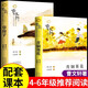 青銅葵花+草房子全2冊正版原著(zhù) 五年級課外書(shū)小學(xué)生三四五六年級下冊?xún)和膶W(xué)原版完整版曹文軒必讀