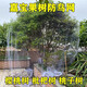 皓鑫防鳥(niǎo)用網(wǎng)果園防鳥(niǎo)天網(wǎng)魚(yú)塘防鳥(niǎo)尼龍網(wǎng)葡萄防鳥(niǎo)用的網(wǎng)果樹(shù) 10米寬10米長(cháng) 2.5網(wǎng)口