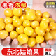 探味君【順豐包郵】東北姑娘果 燈籠果黃菇娘洋姑娘果 新鮮水果整箱 凈重4.5-4.99斤【精選裝】