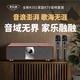 麥樂(lè )迪K501家庭ktv音響套裝回音壁藍牙音箱家用客廳電視k歌音響卡拉ok一體機唱歌全套設備家庭影院 K501_氣壯山河版+演出級話(huà)筒