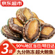 優(yōu)牧冠 冷凍大鮑魚(yú) 10頭鮑 9分熟凍鎖鮮 生鮮夜宵燒烤食材1袋500g 【三去免處理】10只裝*3袋