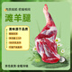 仲亨記寧夏灘羊肉 原切整只羊前腿2.5斤 生鮮羔羊腿 3-4人中秋燒烤食材