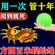 蜈蚣驅(qū)除家用室內(nèi)驅(qū)蜈公專(zhuān)用藥戶(hù)外蜈蚣蜘蛛蝎子潮濕臭蟲(chóng)蟻蟲(chóng)克星 買(mǎi)2送1【不敢靠近 一聞死】3袋裝